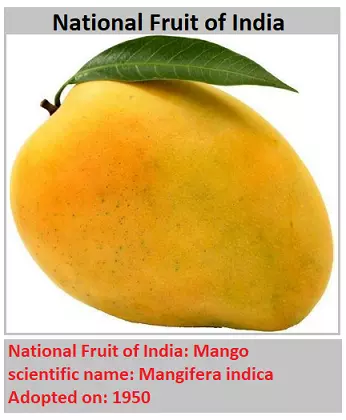 National Fruit of India: Mango